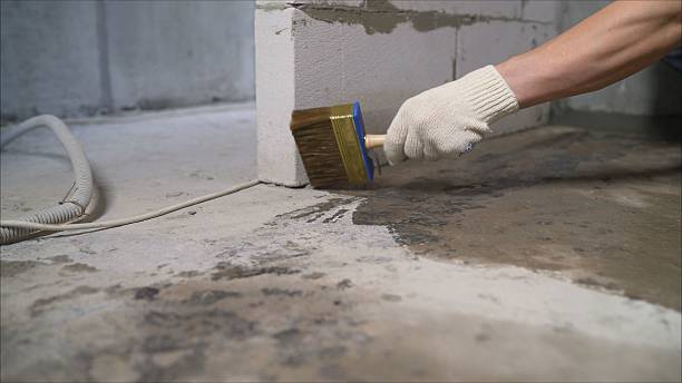 24/7 Emergency Crawl Space Encapsulation experts in Victor, NY